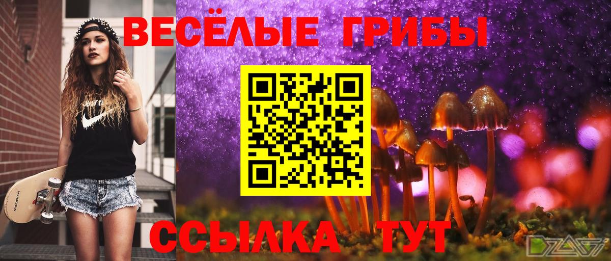 Керчь  Псилоцибиновые грибы Psilocybe  Вход с VPN 